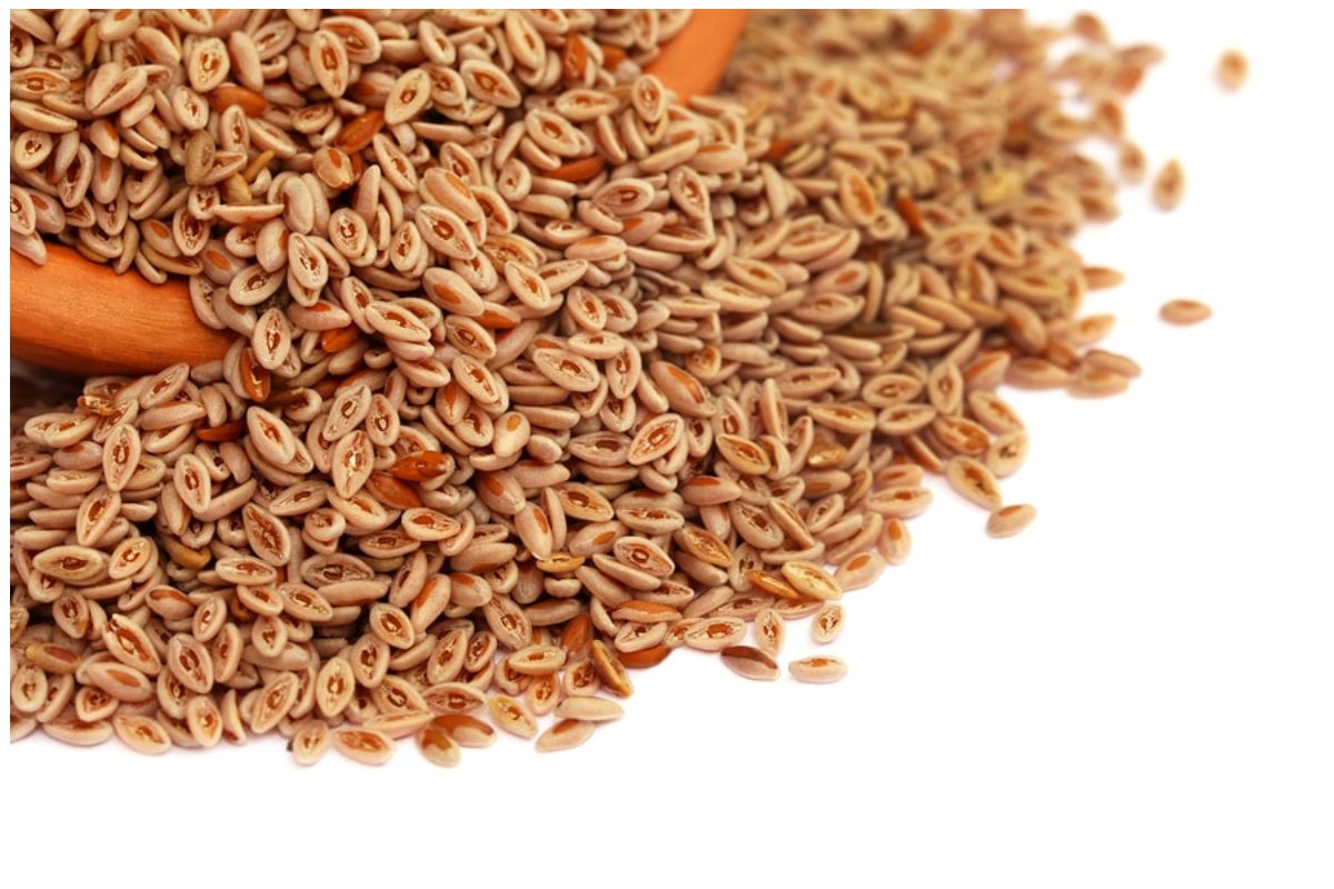 Psyllium Husk