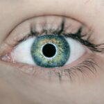 Lenses