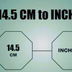 14.5 cm to inches