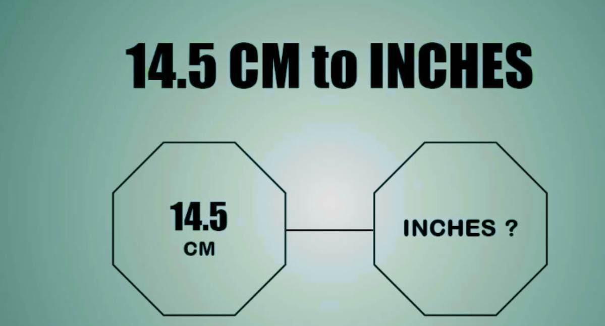 14.5 cm to inches