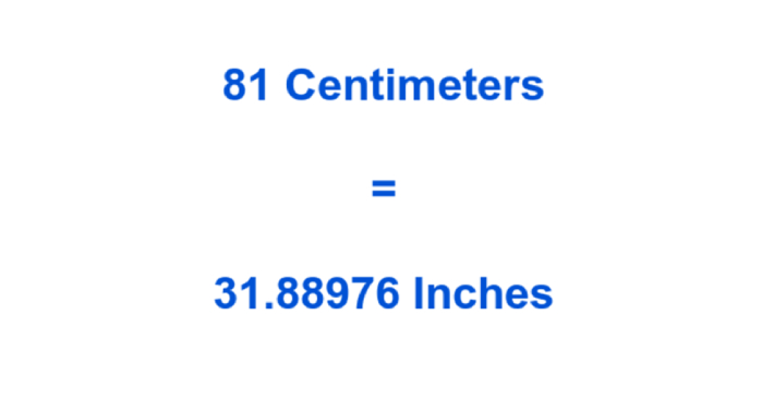 81 cm in ins
