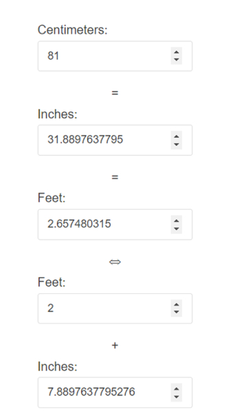 81 cm in ″