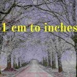 81 cm to inches