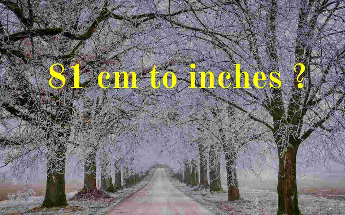 81 cm to inches