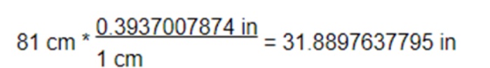 81 cm