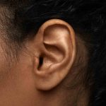 Ears