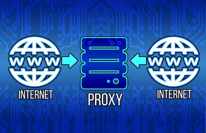 What Makes a Web Proxy Necessary_
