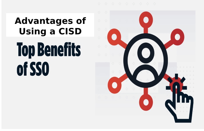 Advantages of Using a CISD SSO