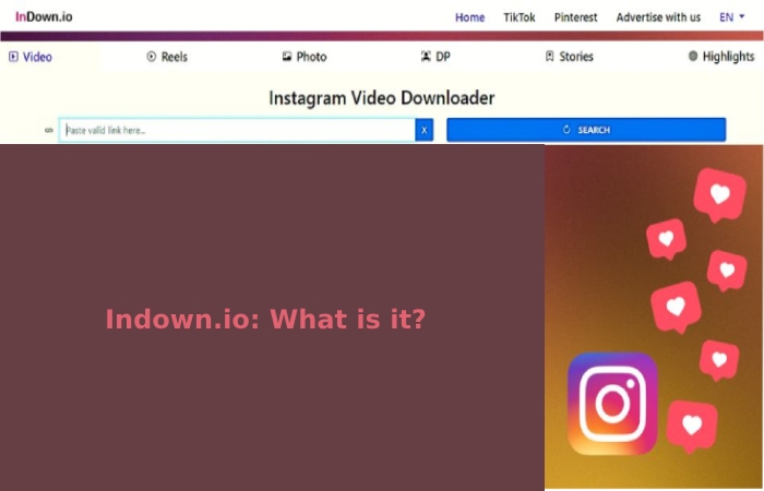 Indown.io_ What is it_
