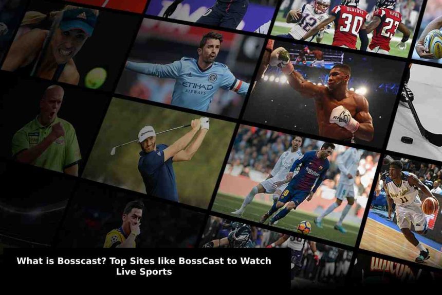 What is Bosscast_ Top Sites like BossCast to Watch Live Sports