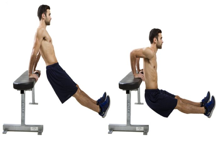 how to do Triceps Dips